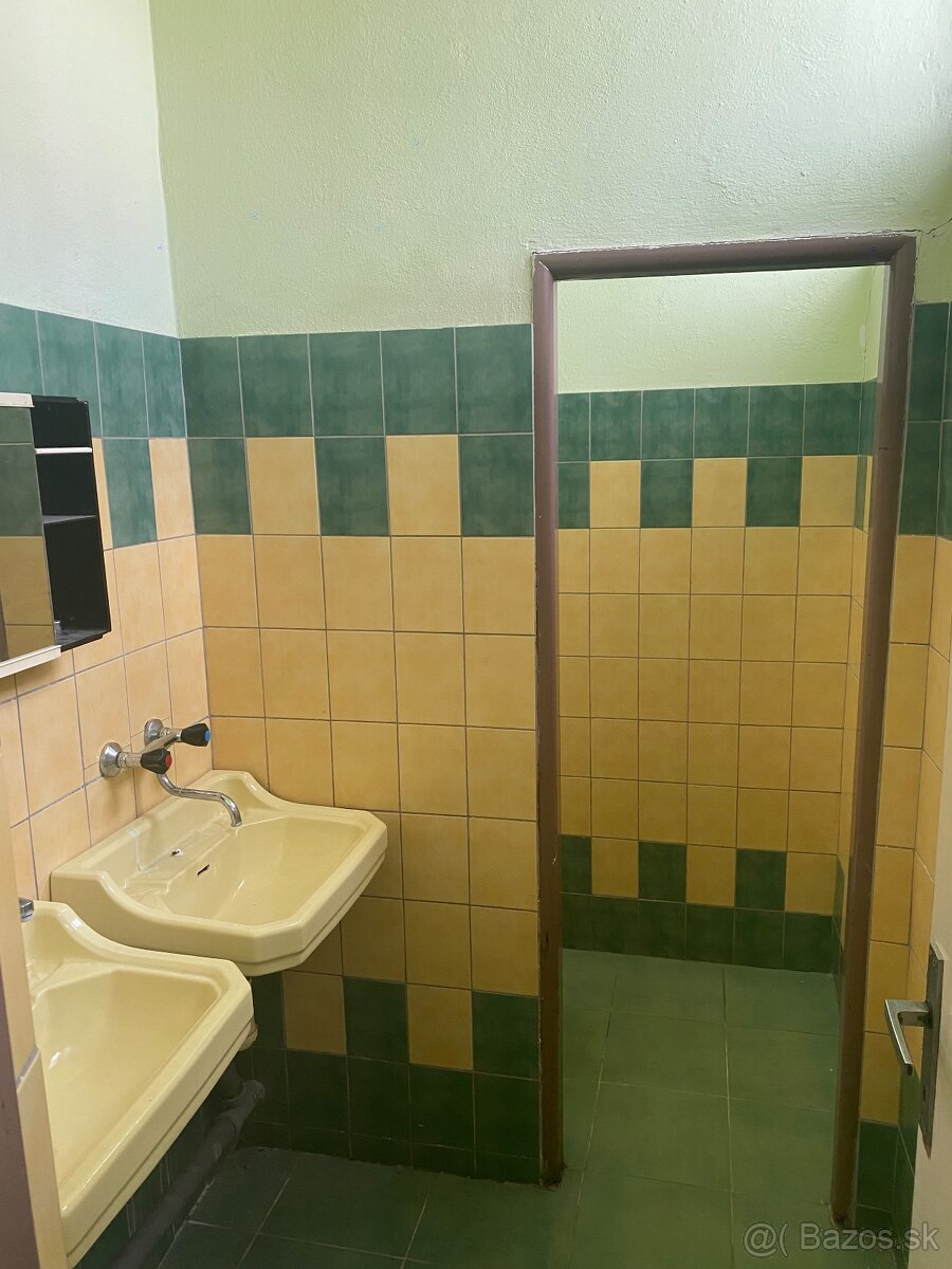 BUDOVA NA PREDAJ - 6