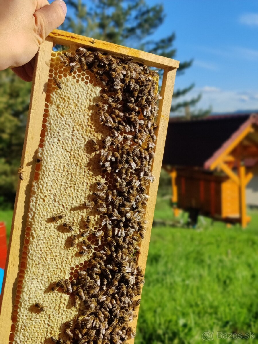 Domáci včelí med z Turčianskej záhradky - 6