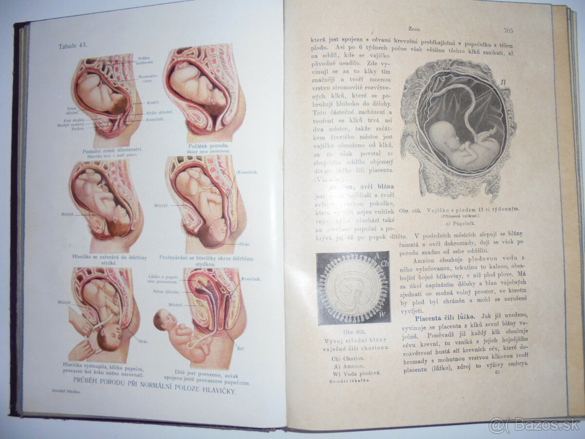 STAROŽITNÉ LEKÁRSKE KNIHY - 6