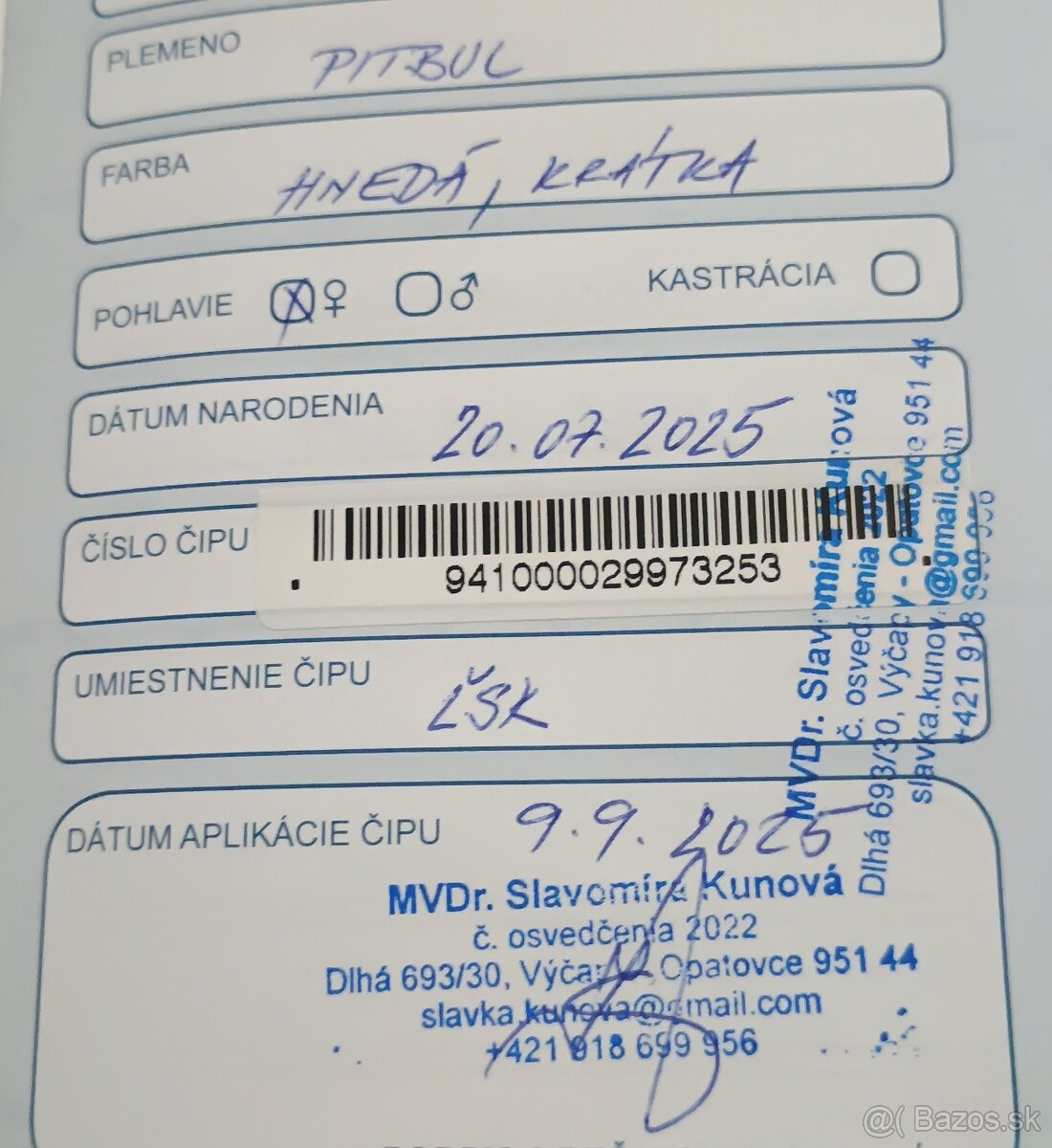 Americký pitbullterier - 6