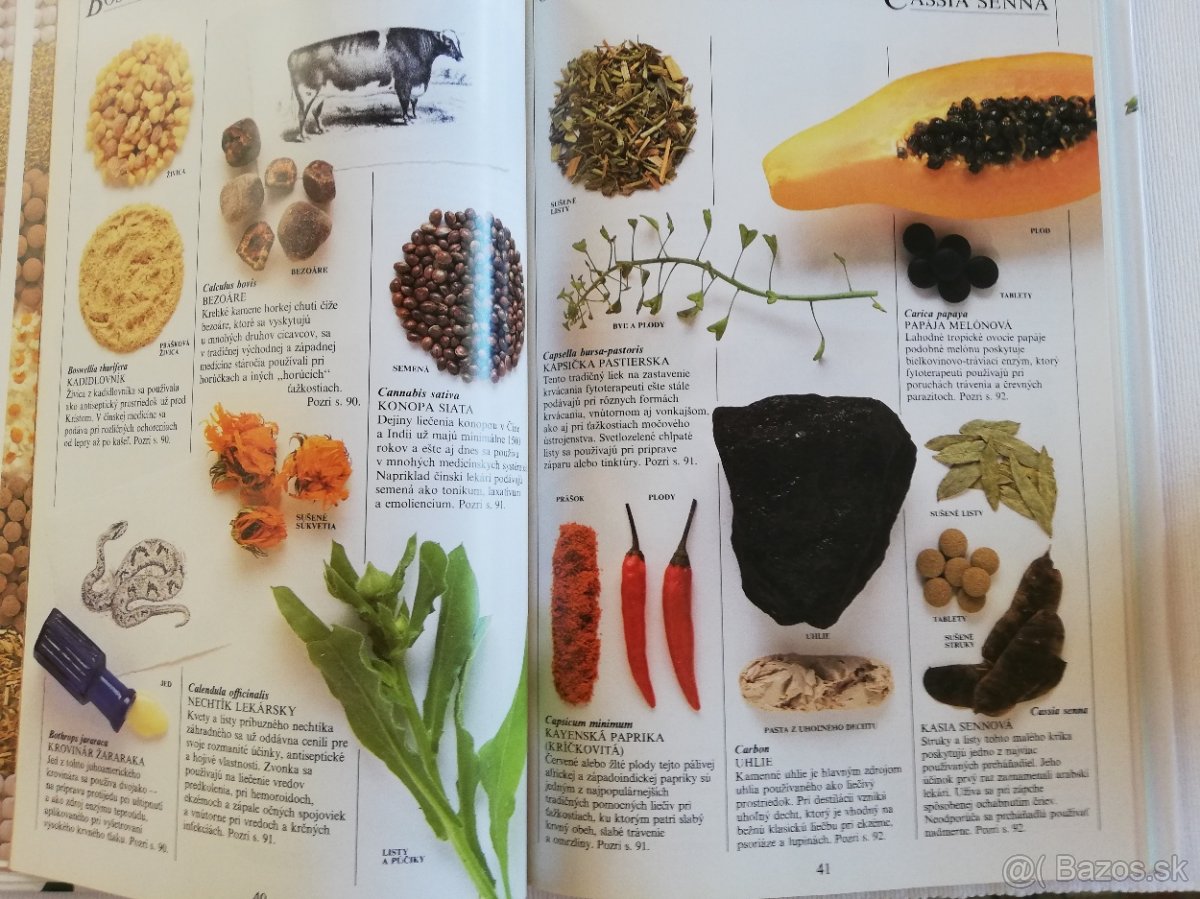 Liečivá z prírody - M.Poluninová, Ch. Robbins, NOVÁ kniha - 6