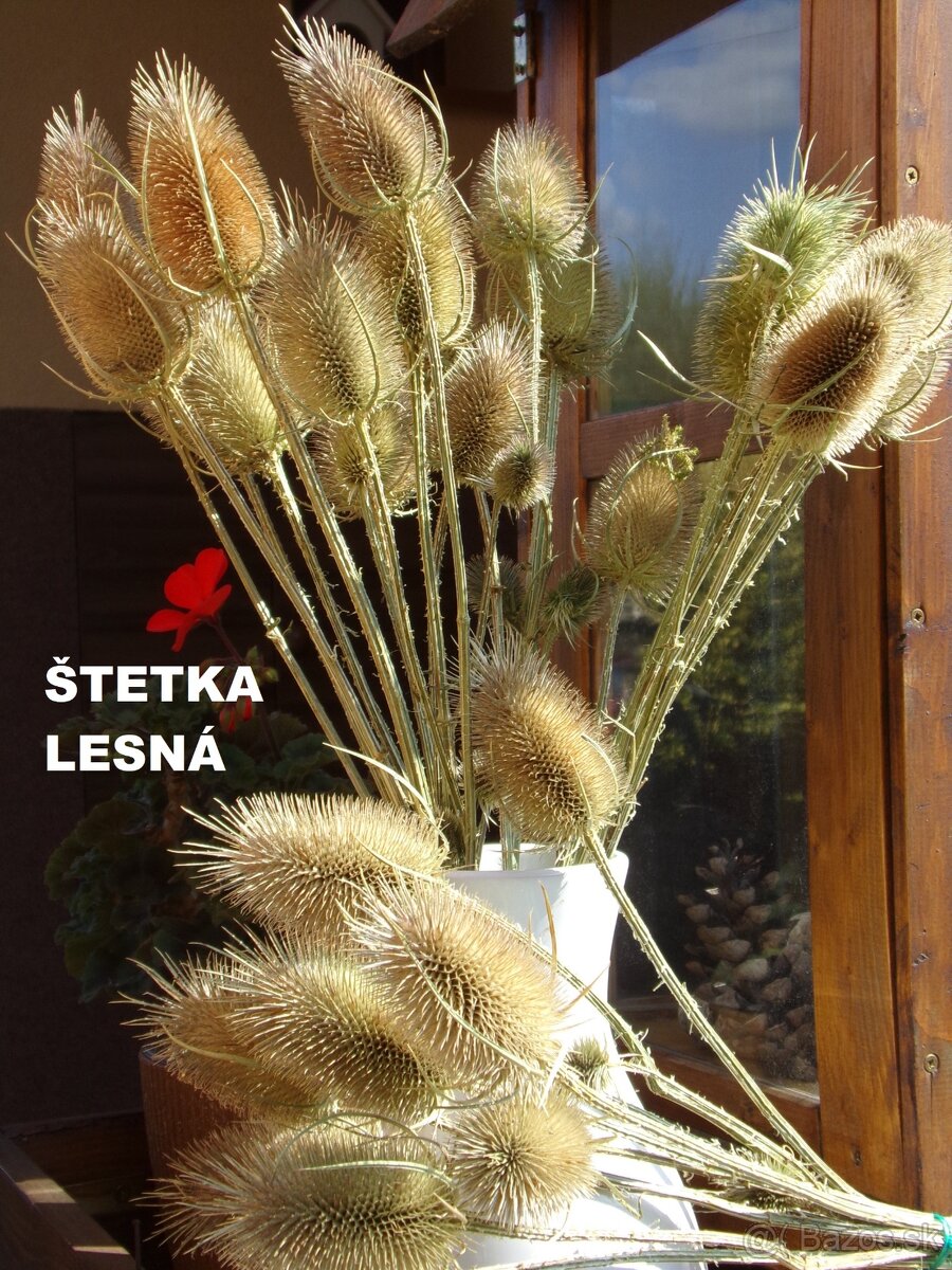 SUŠENÉ KVETY NA ĎALŠIU TVORBU - 6