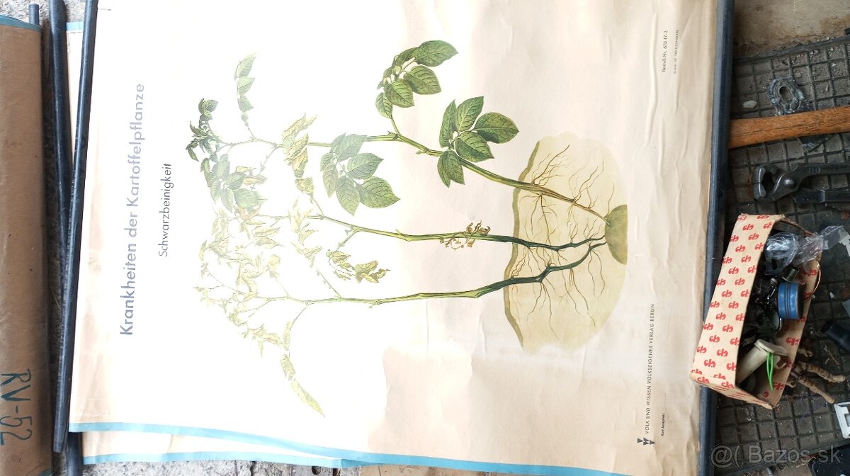 Staré školské tabule. - 6