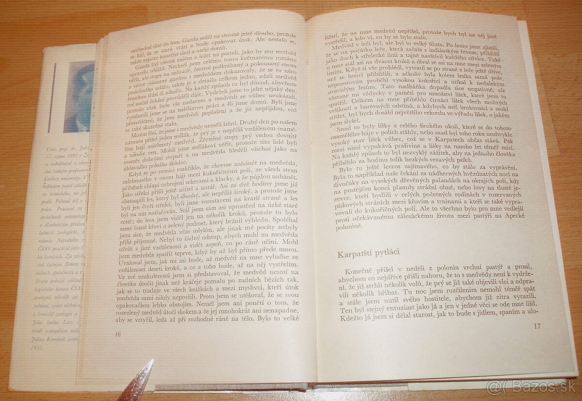 Lovy v Karpatech - 6