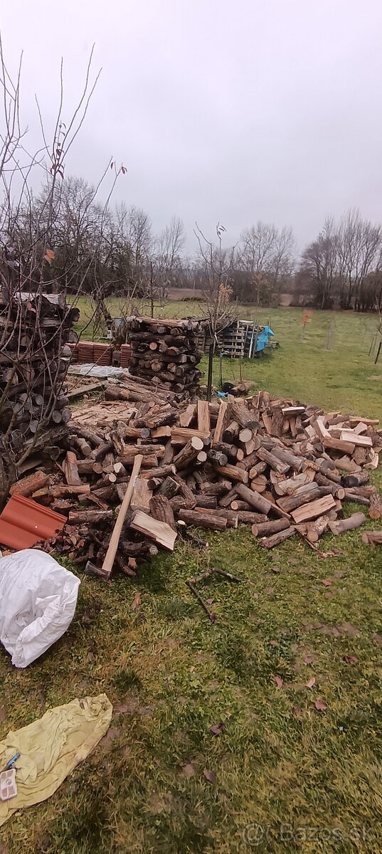 ČISTENIE POZEMKOV💪PÍLENIE DREVA💪KOSENIE KROV.RUČ RYĽOVANIE - 6