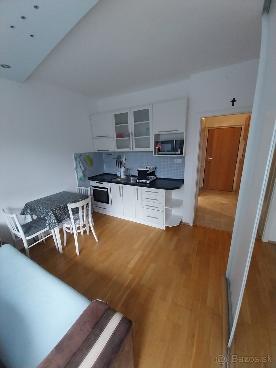 Prenájom slnečný 1+1 izbový byt s loggiami - 6