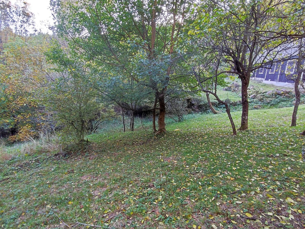 Pozemok Horná Mariková - 6