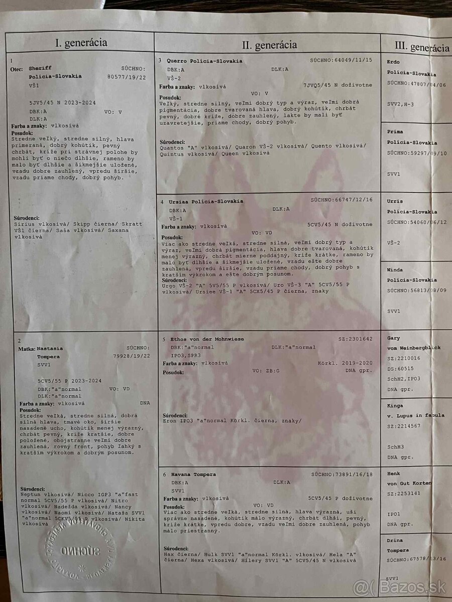 Nemecký ovčiak - 6