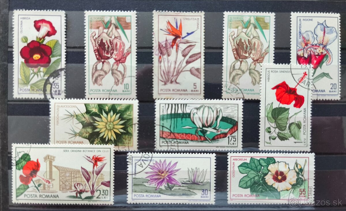 Známky kvety Rumunsko - 6