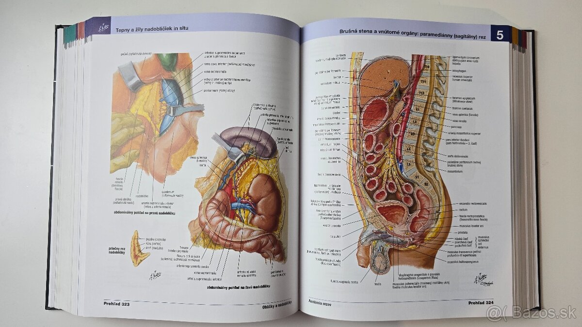 📘 Netterov anatomický atlas, 7. vydanie TOP stav - 6