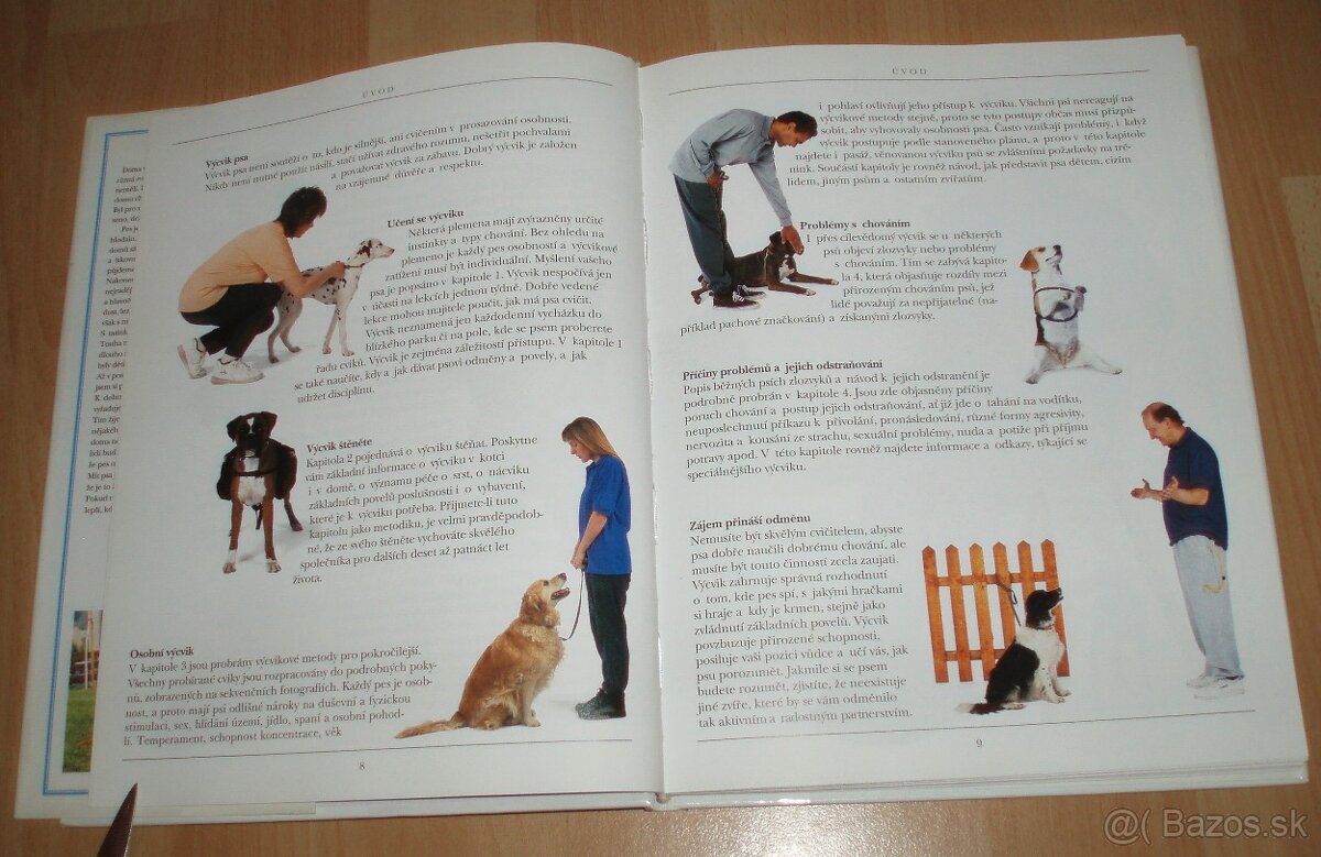 Výchova a výcvik psa - 6