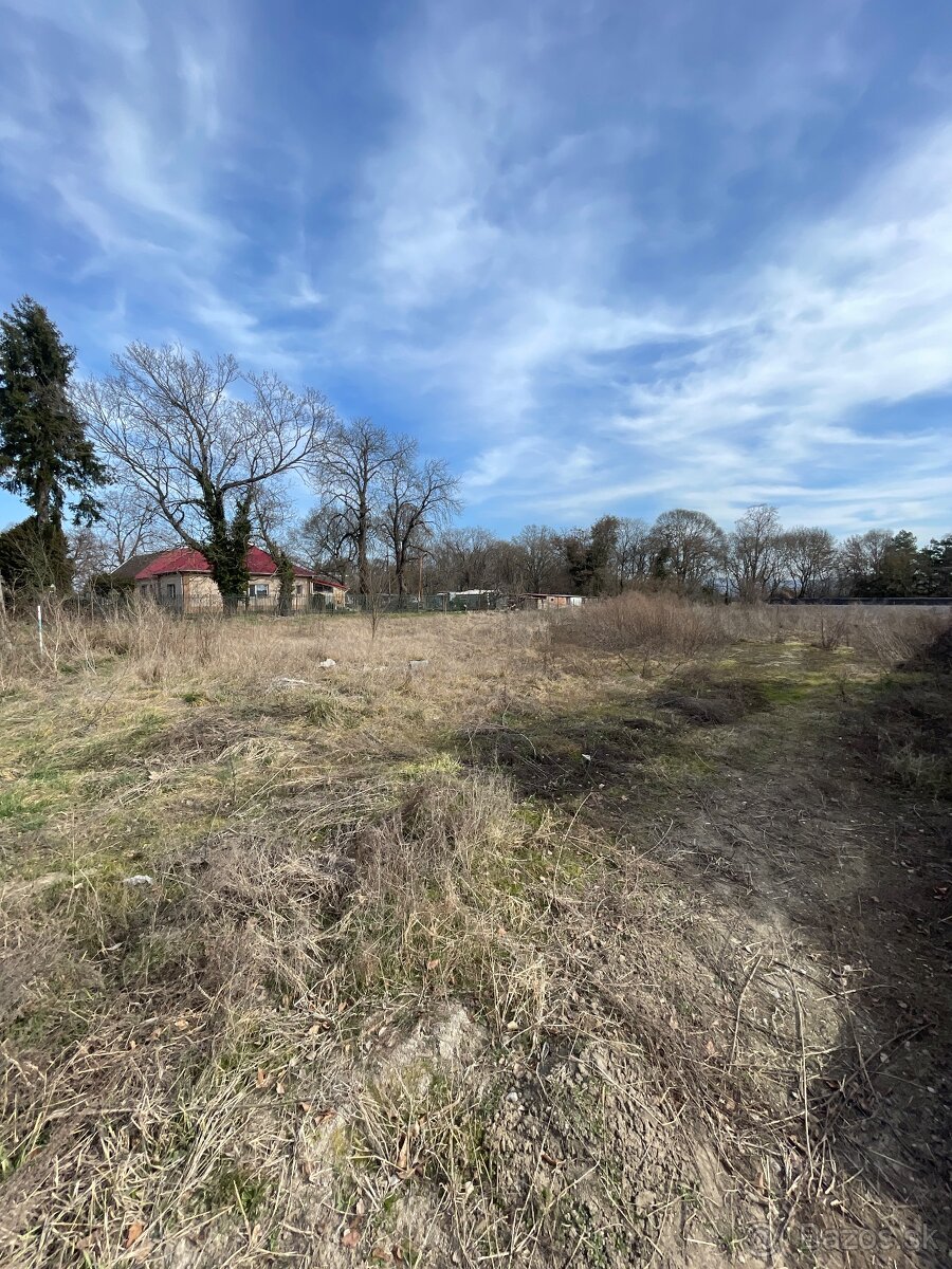 Stavebný pozemok v centre obce Borovce - PREDAJ - 6