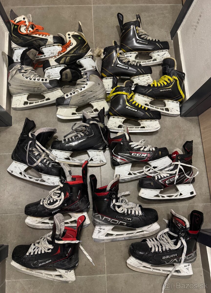 PREDAM SENIOR KORCULE - 6