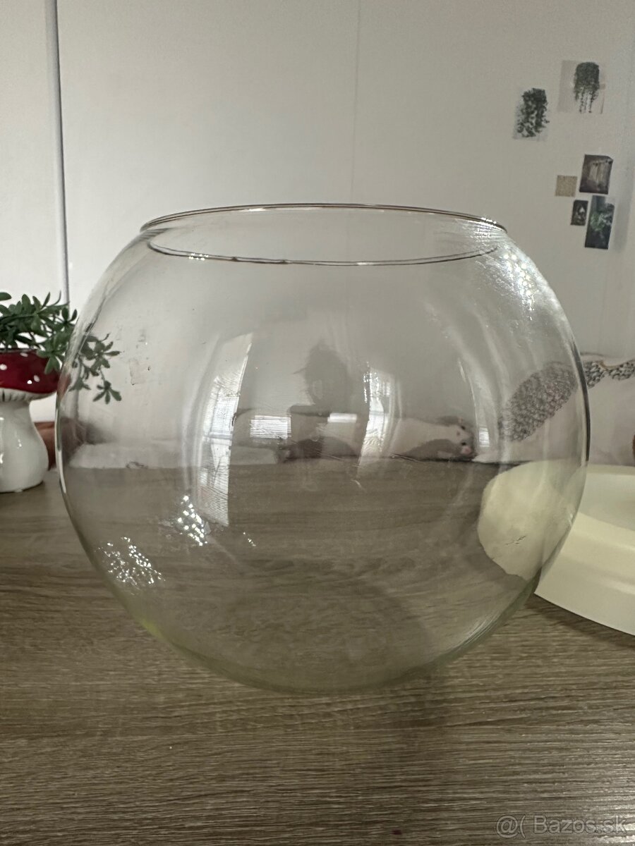 Okrúhle akvárium s lampou - 6