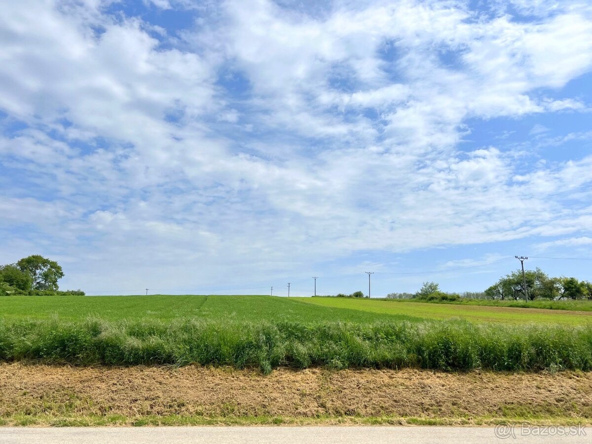 Investičná príležitosť POZEMOK 15 000 m² Malé Hoste - 6