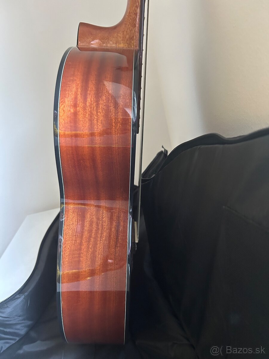 Klasická gitara Takamine 4/4 - 6