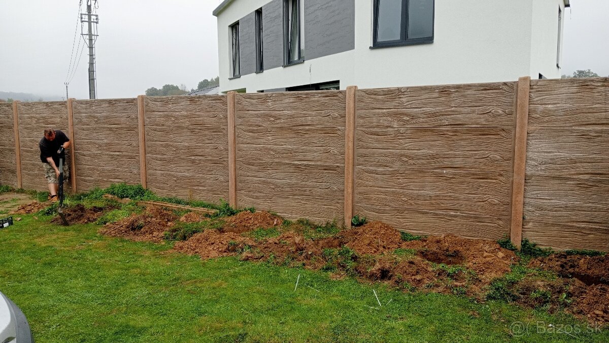 Tuja Smaragd, vavrínovec, červienka, gaštan - Rožňava - 6