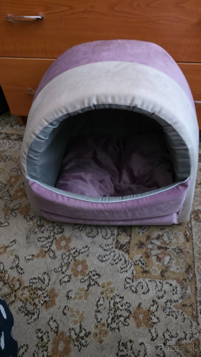 Nova kukaňa pekech ore macky a psy - 6