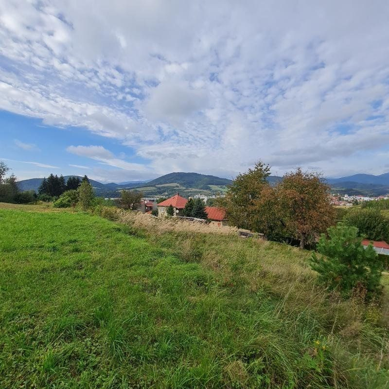 INVESTIČNÝ POZEMOK BREZNO 3344 M2 x 22,- €/M2 = 73.568,- € - 6