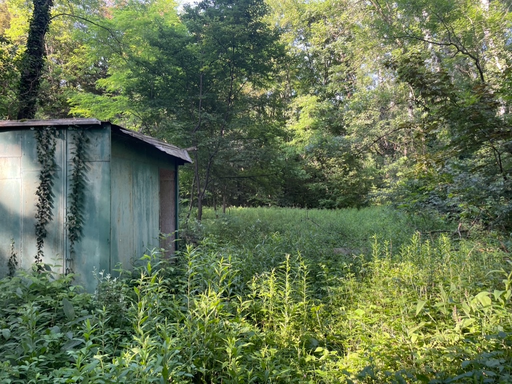 Veľkorysý pozemok v Tomášikove – hraničí s Malým Dunajom - 6