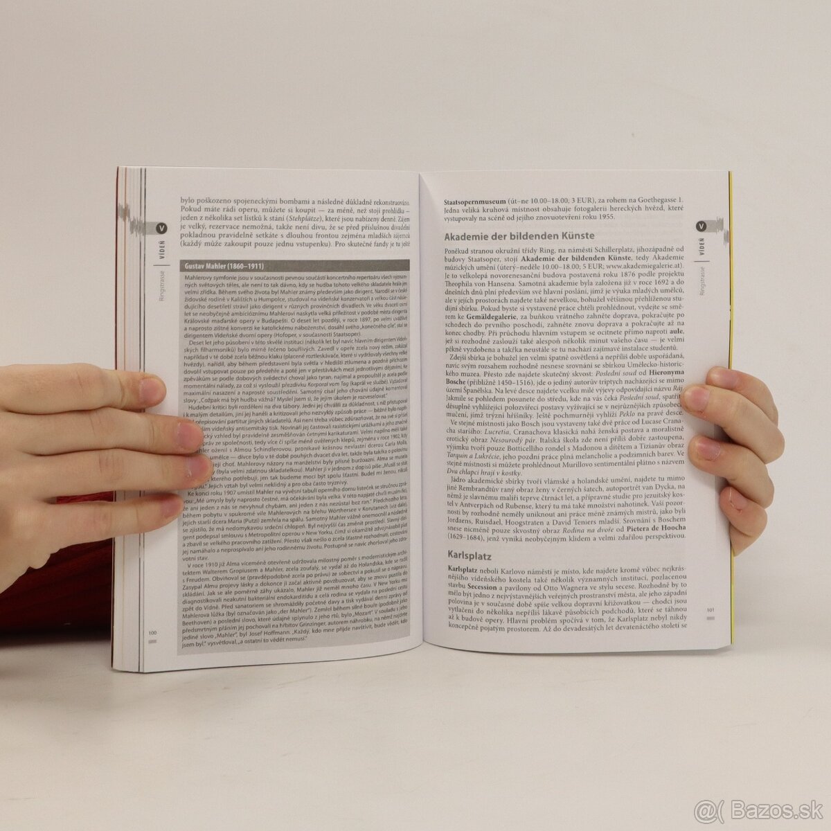 Viedeň - český turistický sprievodca Rough Guides - 6