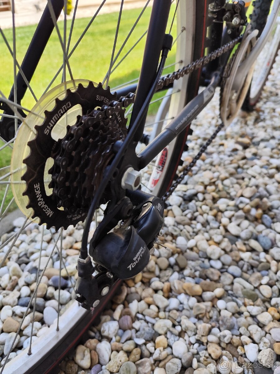 Kellys Radial 26" - 6