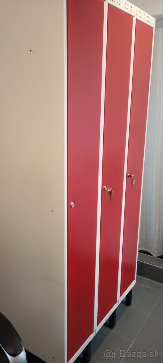 Kovova Satnova skrika - 6