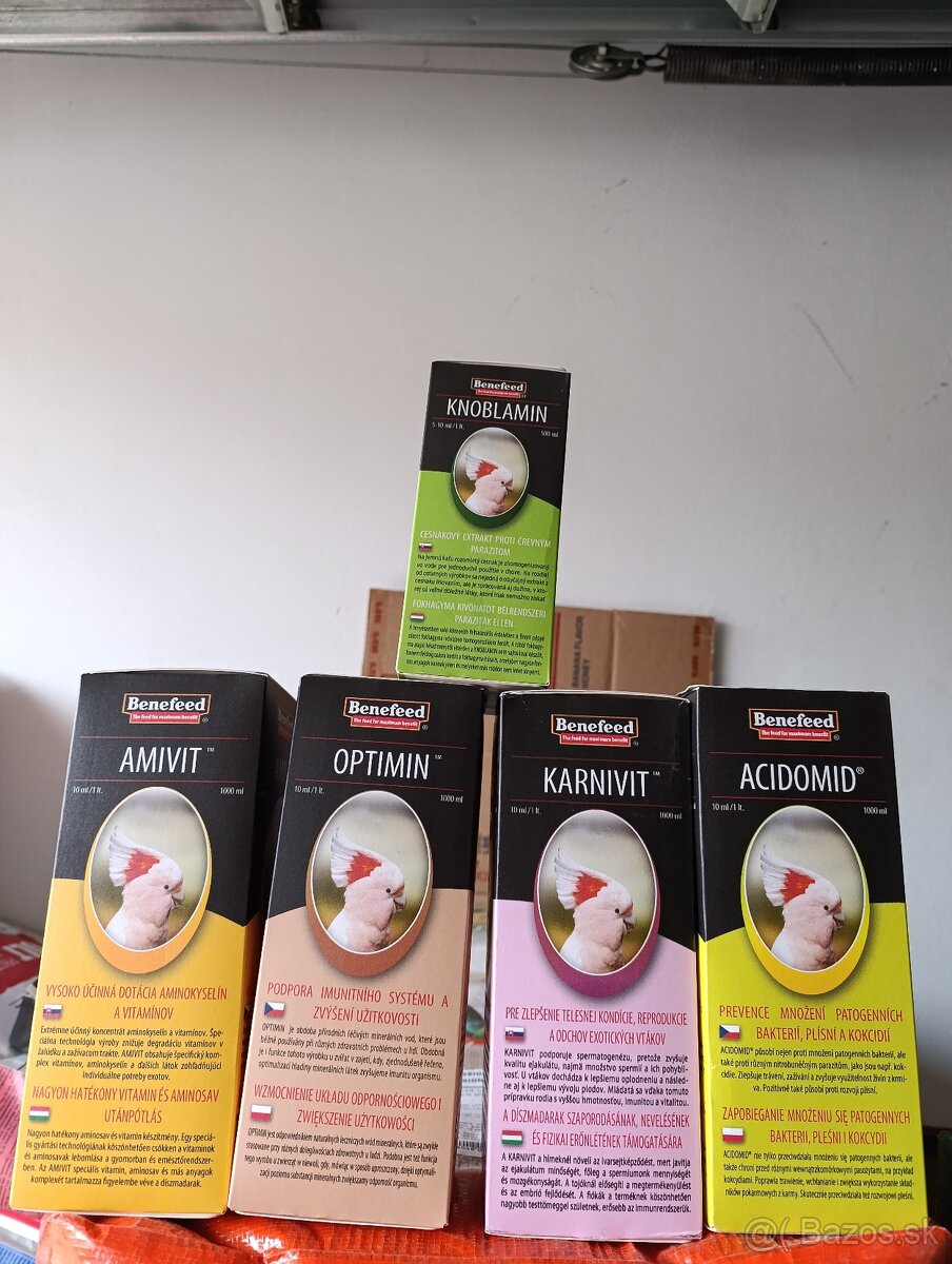 Agapornis,krmivo - 6