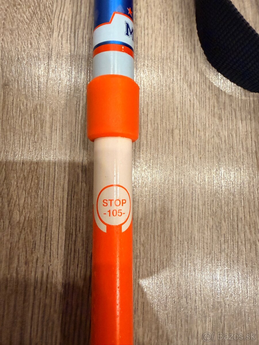 Lyžiarské palice nadstaviteľné - 6