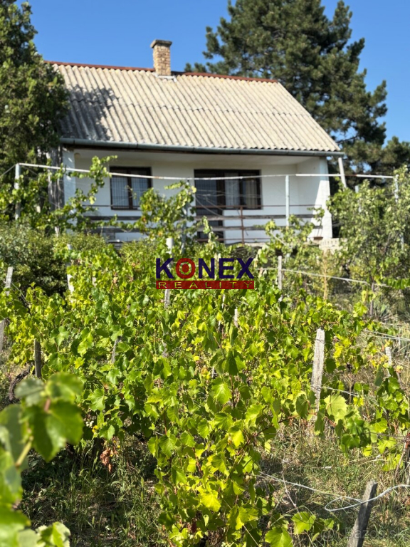 CHATA S VINICOU – Maďarsko - Sátoraljaújhely - 6