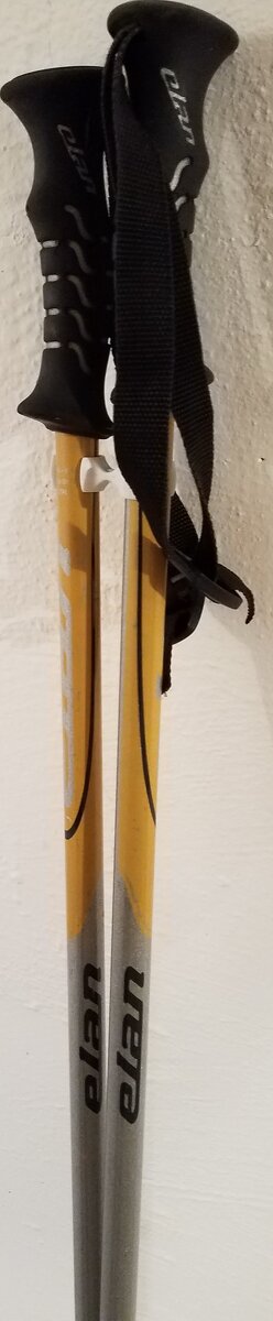 Lyže Elan S10 titanium s palicami - 6