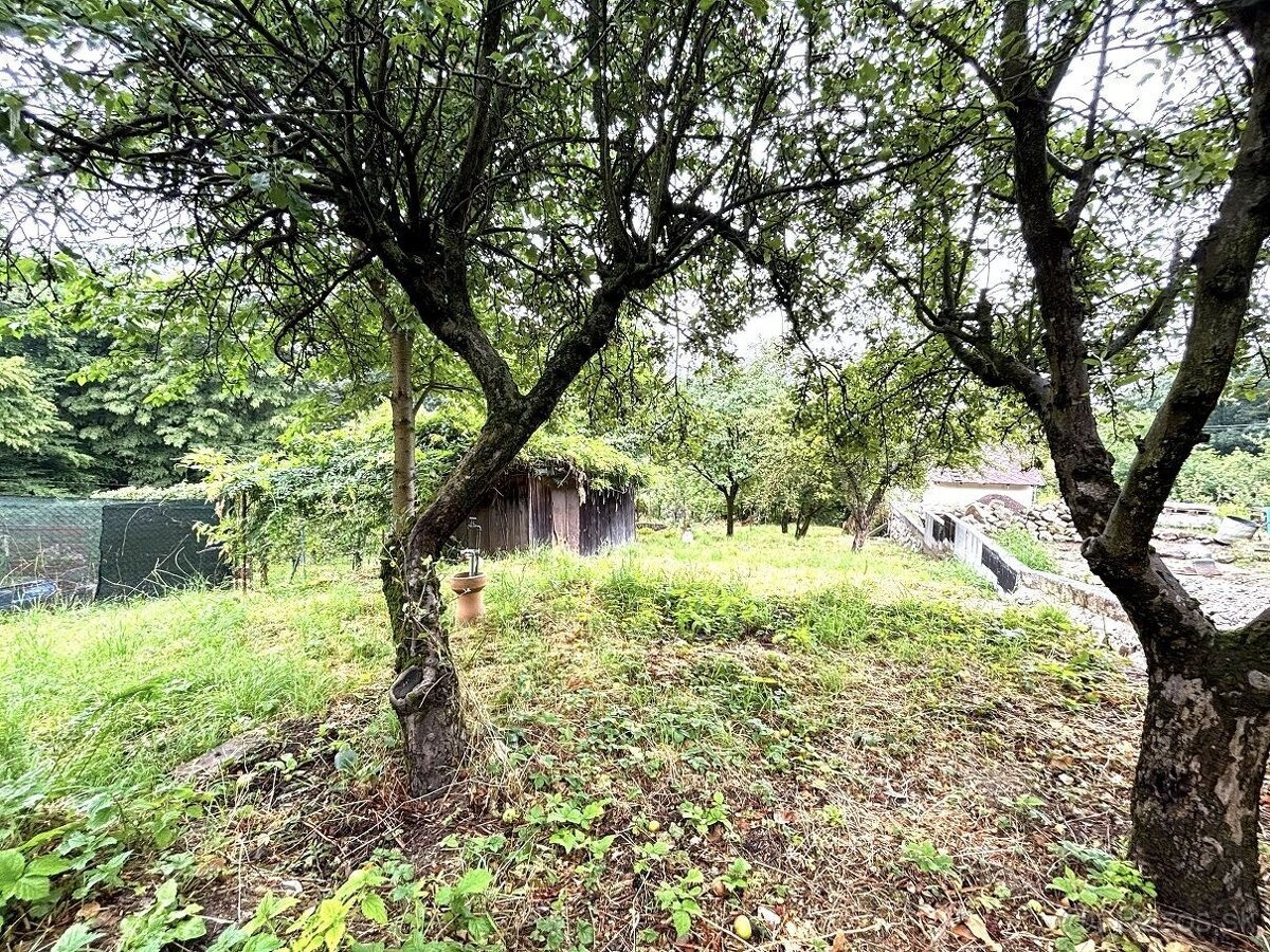 Záhrada 566 m² v Dúbravke| Elektrina | Ticho a zeleň - 6