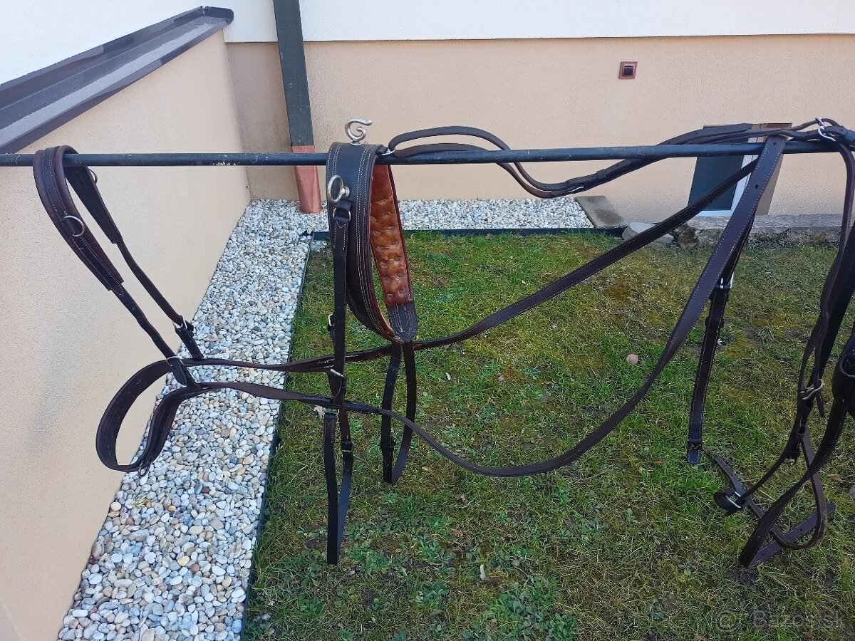 Hnedé kožené poprsne postroje na dva kone - 6