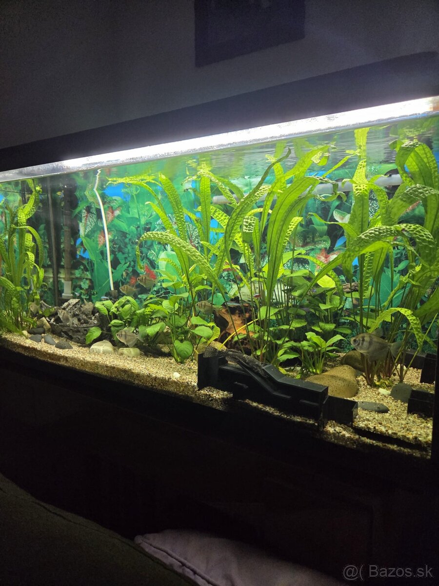 Akvarium 180 L - 6