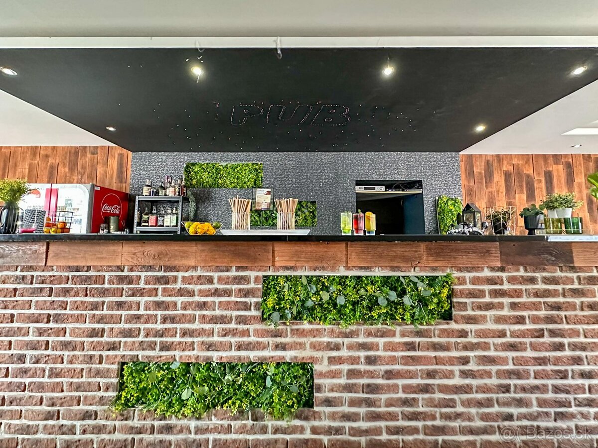 Investičný, komerčný objekt v meste Žarnovica, ul. Bystrická - 6