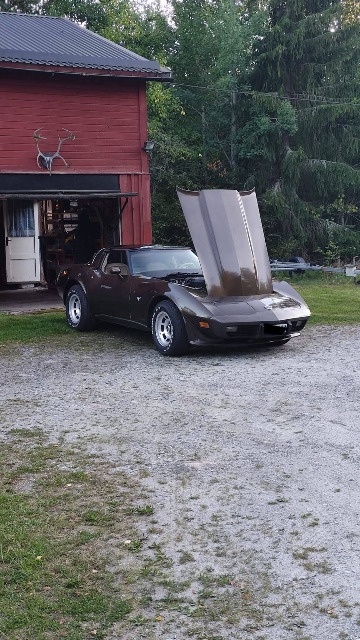Chevrolet Corvette C3 z roku 1978 - 6