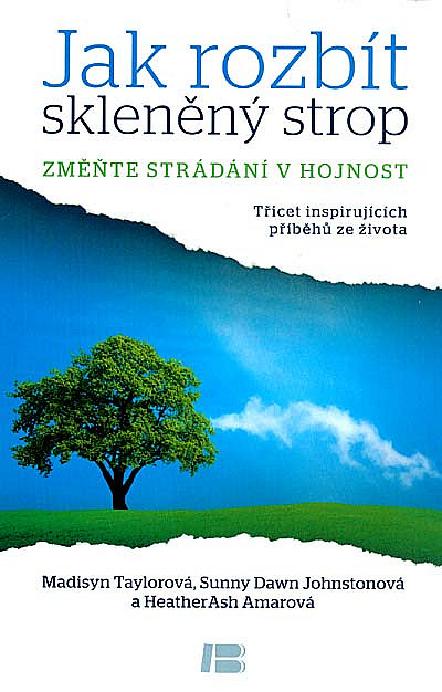 Rôzne knihy a učebnice - 6