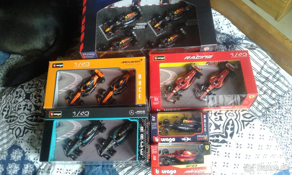 Zberateľské modely Formule1 - 6