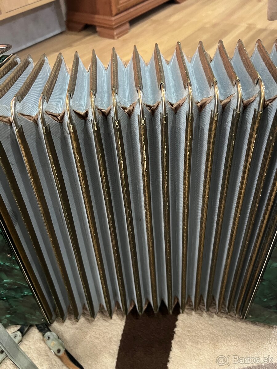 Harmonika-akordeón Lignatone - 6