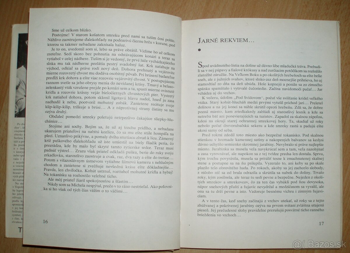 Trofej neznámeho strelca - 6