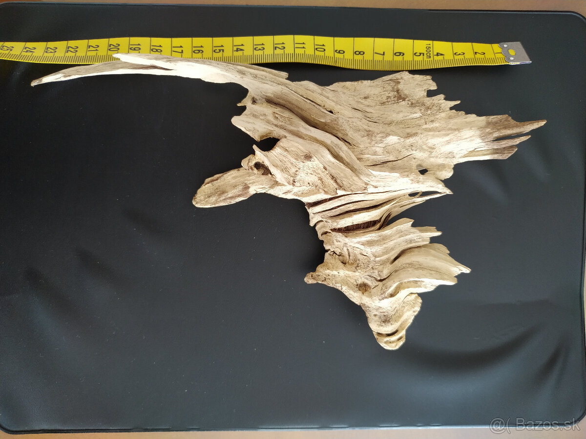 Samorast / Paroh - 6