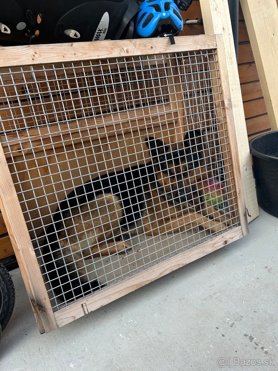 Klietka pre psa do auta - 6