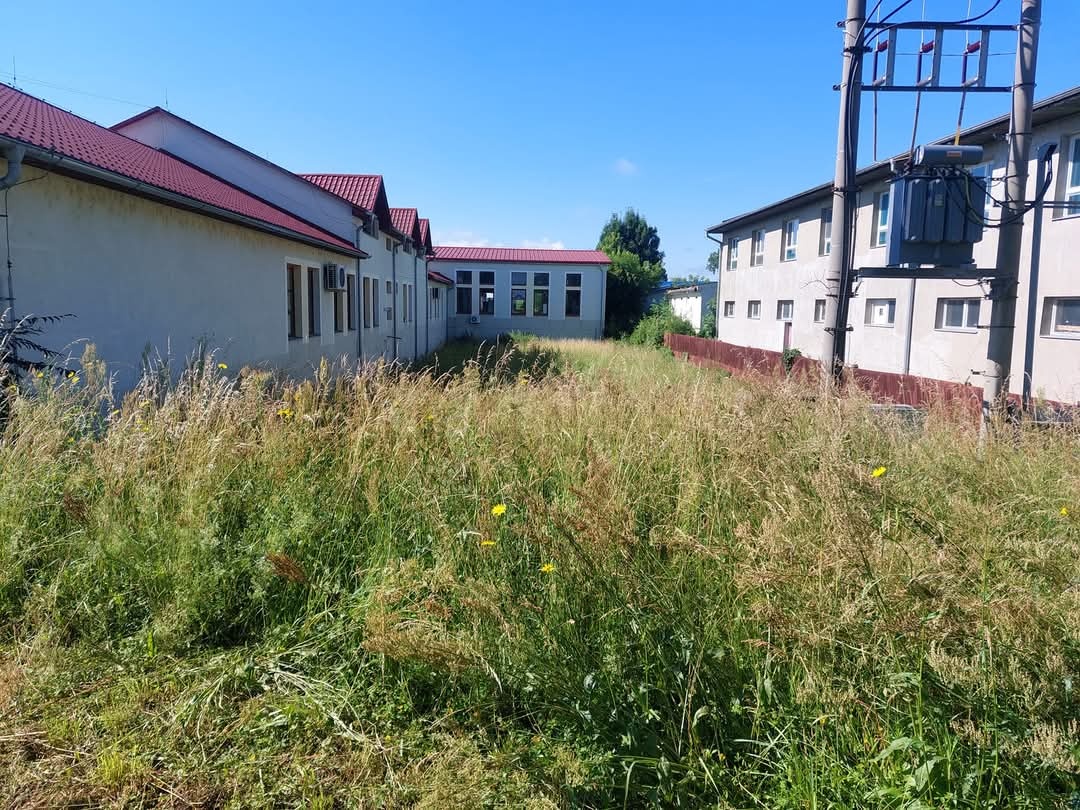 Profesionálna úržba pozemkov - 6