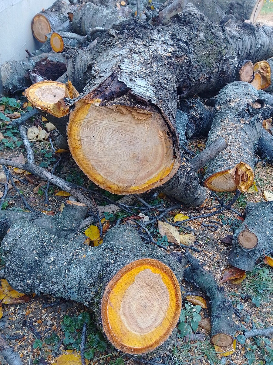 Čerešňové drevo - 6