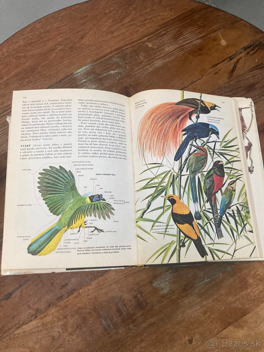 Svet živočíšnej ríše - 6