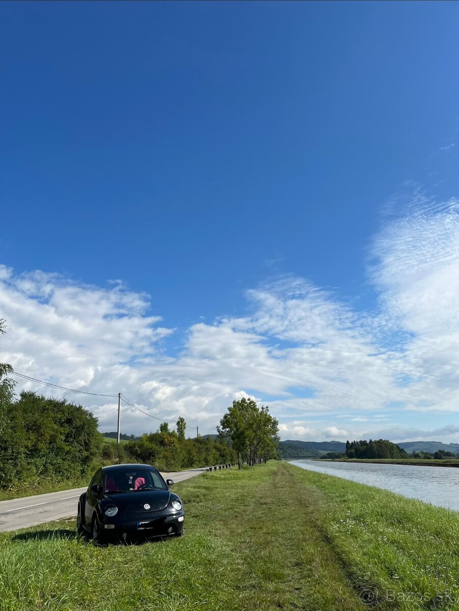 Vw beetle 1999 - 6
