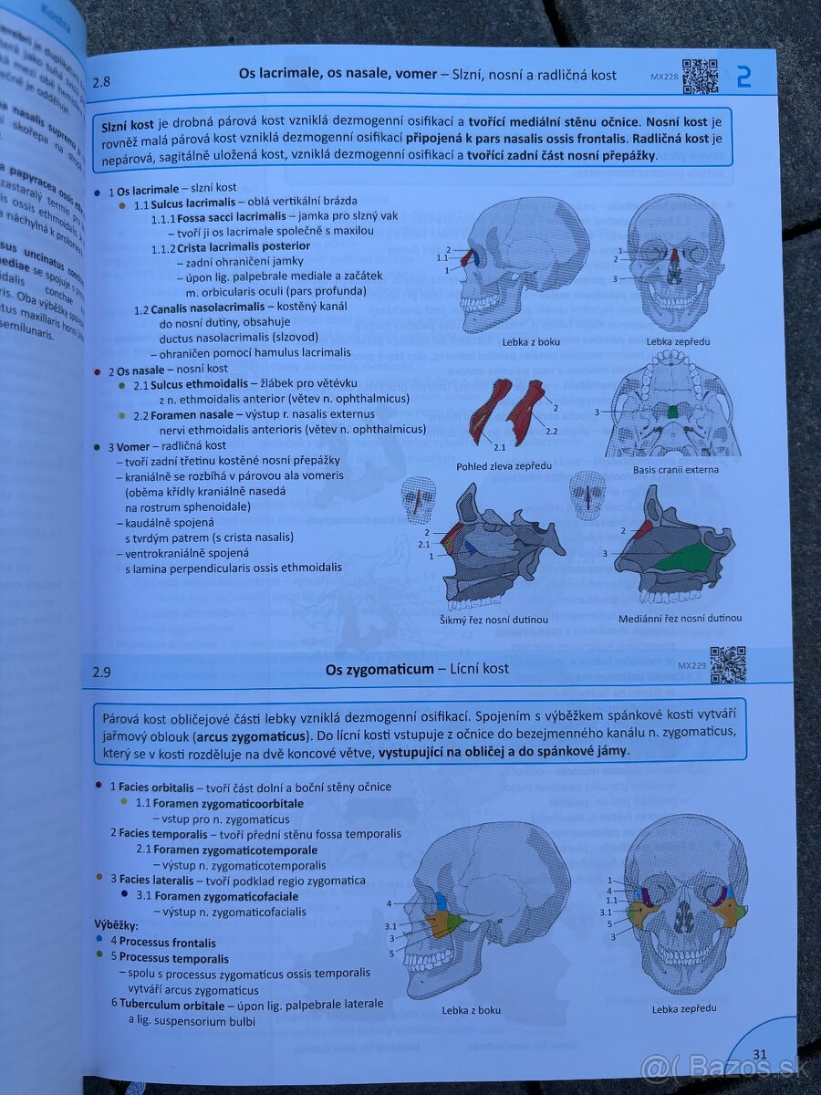 Memorix anatomie 6.vydanie - 6
