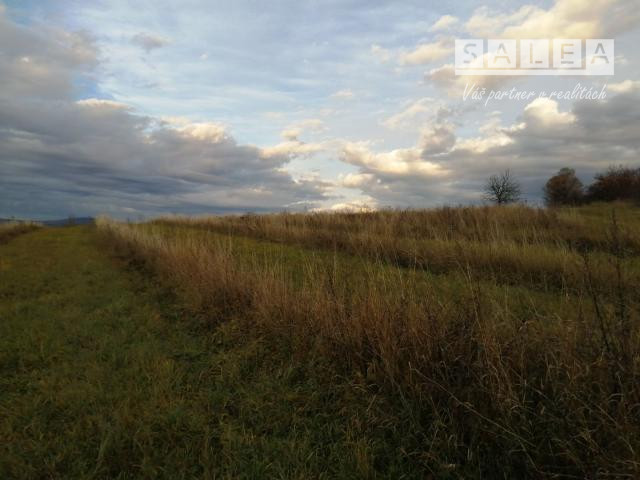 Stavebný pozemok v Meste Myjava o výmer 8930m2. - 6