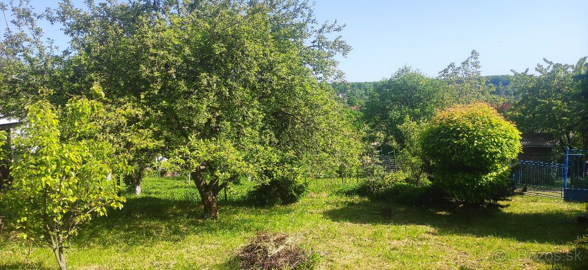 Predám záhradu - 6