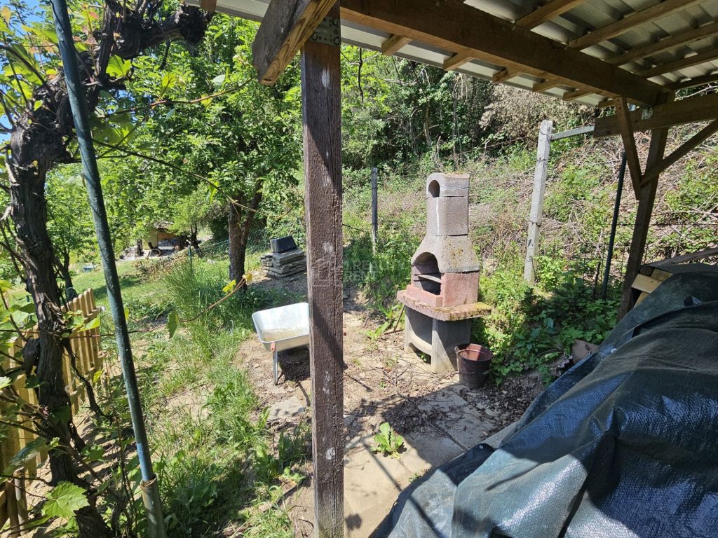 Fotografia 6